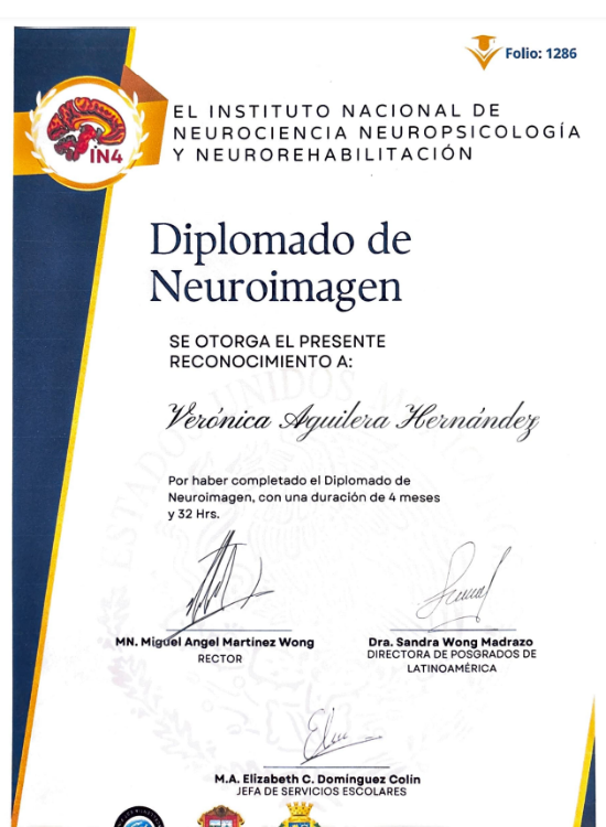 diplomado especial cdmx