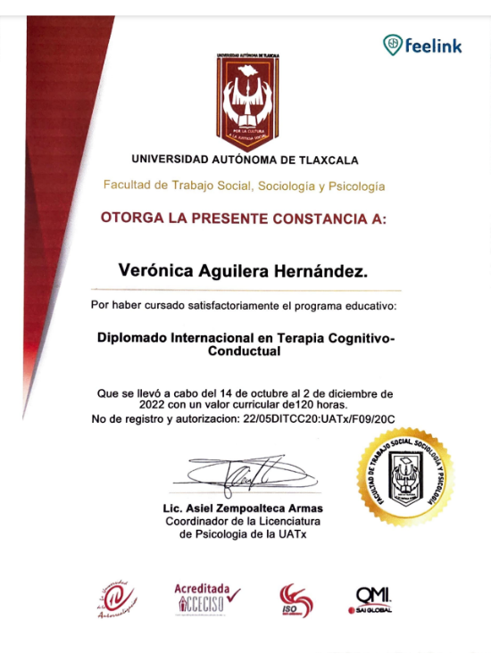 diplomados especiales cdmx