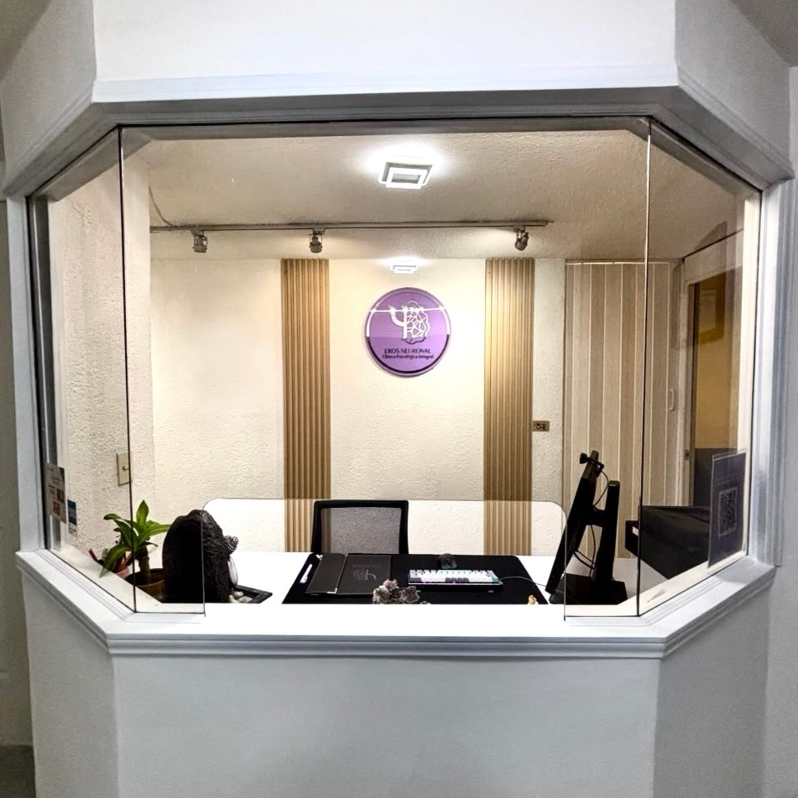 Instalaciones Eros Neuronal en CDMX 2