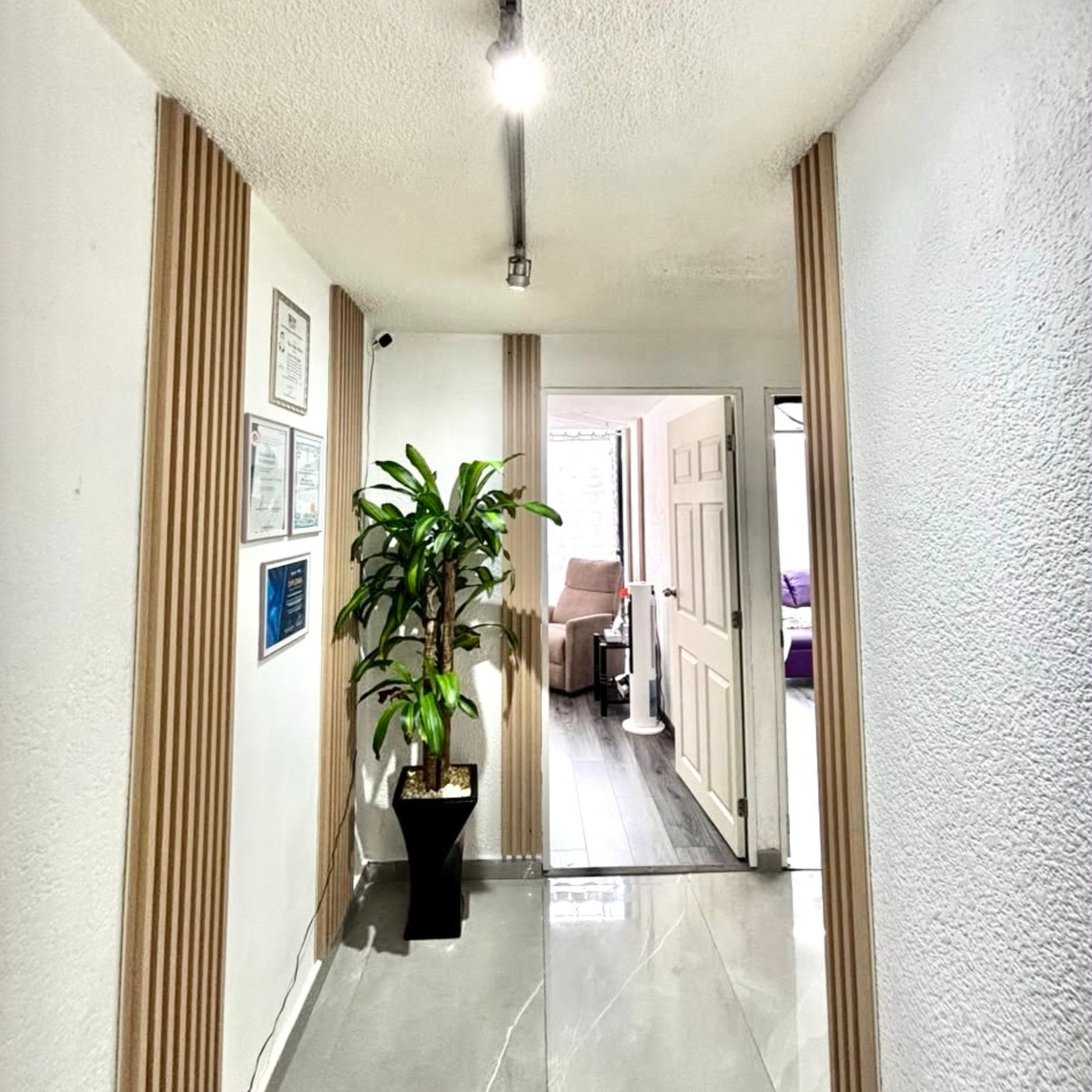 Instalaciones Eros Neuronal en CDMX 4